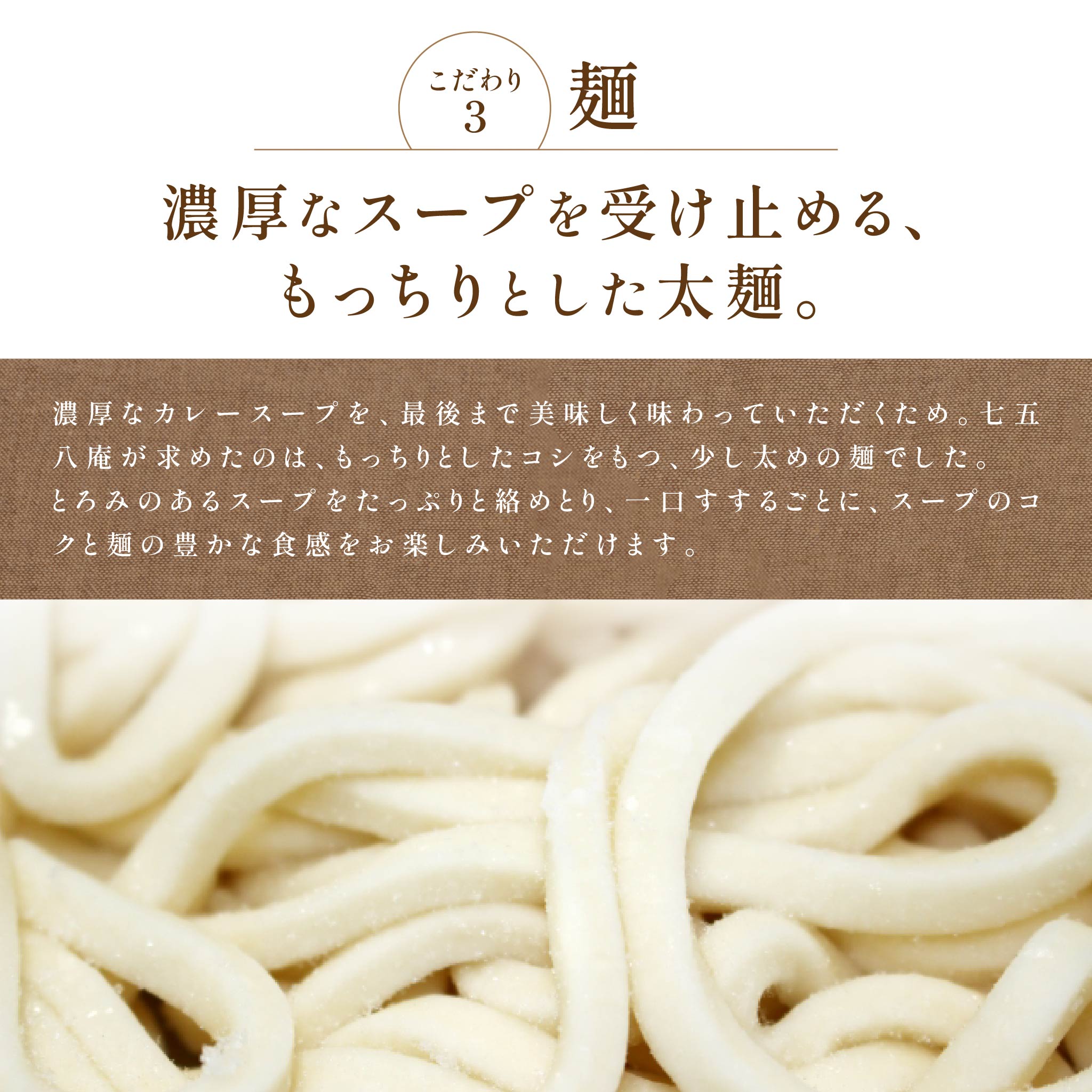 【贈答用】カレーうどん