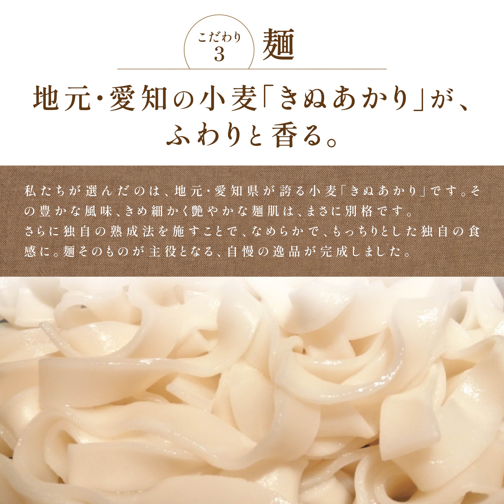 【贈答用】花きしめん